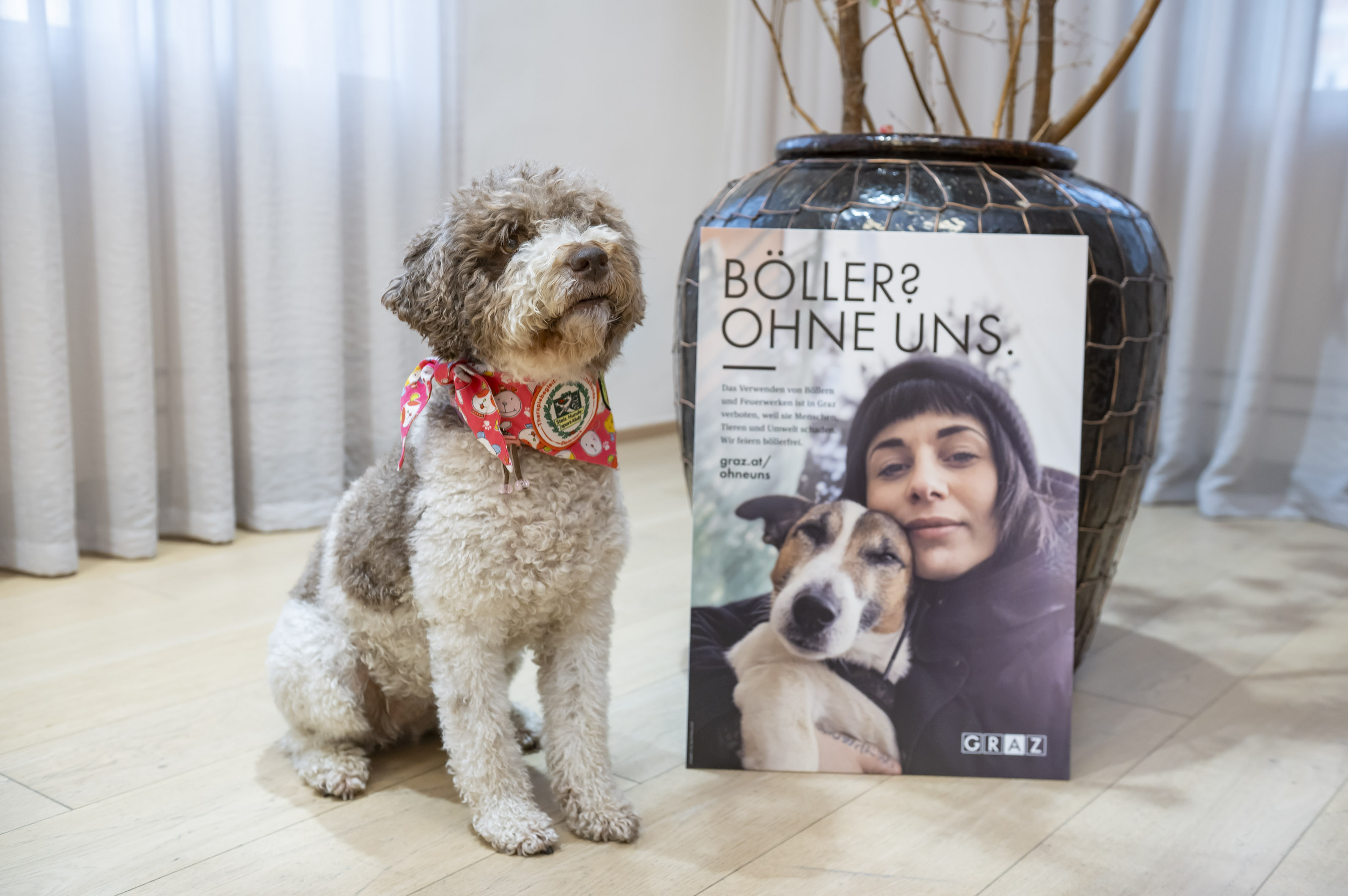 Böller? Ohne uns! © Stadt Graz/Foto Fischer Böller? Ohne uns!