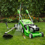 Foto: Foto: vitalliy - Fotolia.com 