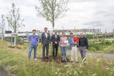 Bildvergrößerung 