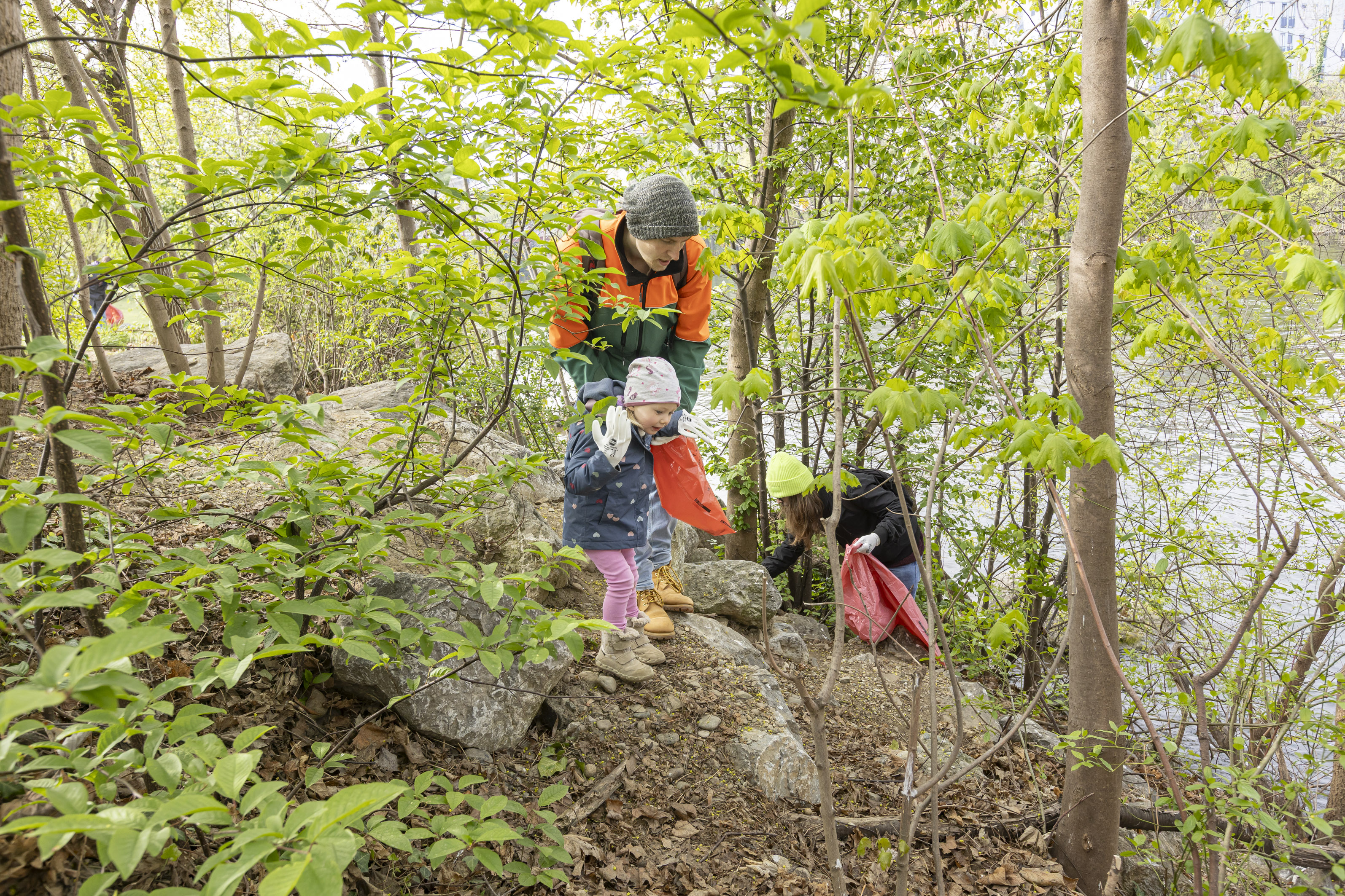 Muruferreinigung 2026